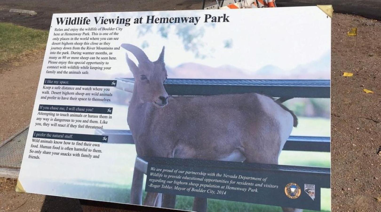 בולדר סיטי Lake Mead Inn מראה חיצוני תמונה